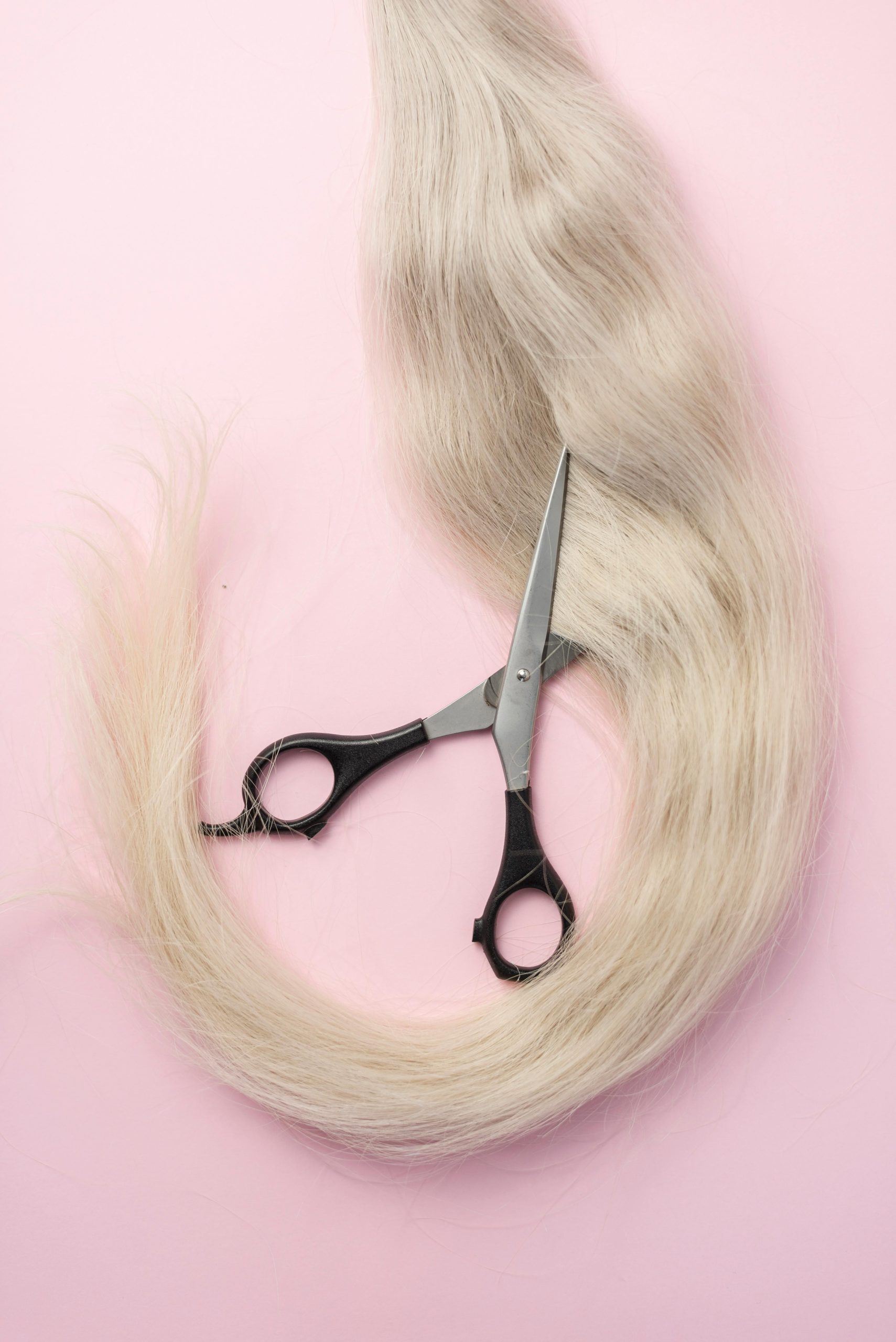 pexels alinaskazka 18614268