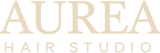 cropped aurea logga ljus transparent original.png